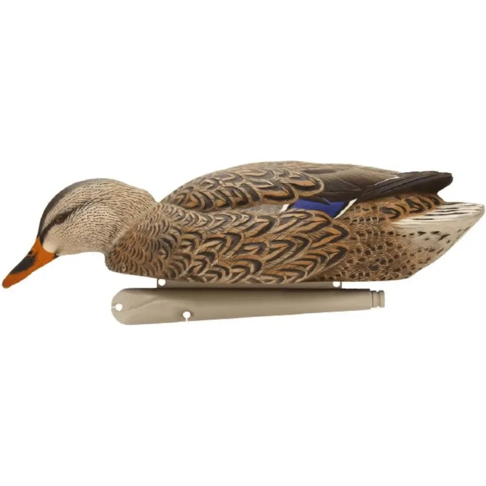 Topflight Backwater Mallards Durable Ultra Realistic Floating Hunting Decoys, easy to use，Pack of 6